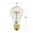 thumbnail image 2 of Globe Electric 60W Vintage Edison A19 Quad Loop Dimmable Incandescent Filament Light Bulb (12-Pack), 34841, 2 of 3