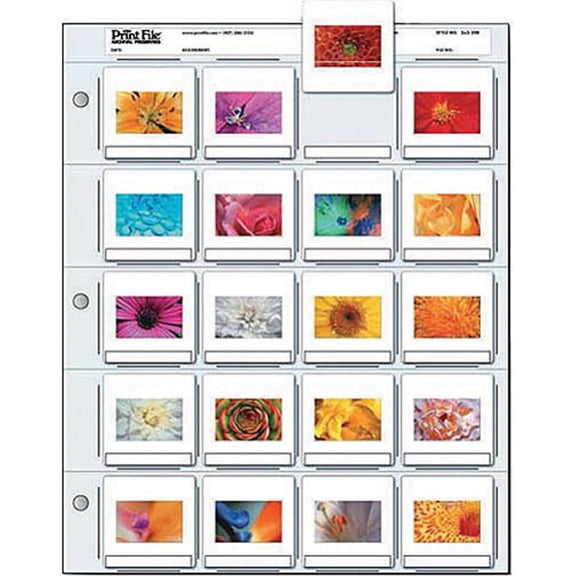 Print File 35mm Slide Pages Holds Twenty 2x2" Mounted Transparencies, Top Loading, Pack of 100