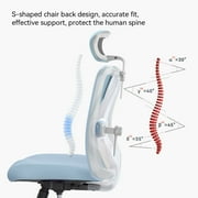 SIHOO M18 Ergonomic Office Chair, High Back Computer Chair, Adjustable Computer Desk Chair with Lumbar Support, 300lb,Blue