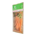thumbnail image 2 of Semillas Zanahoria Germinal 1Gr Hasta 400 Plantas, 2 of 3