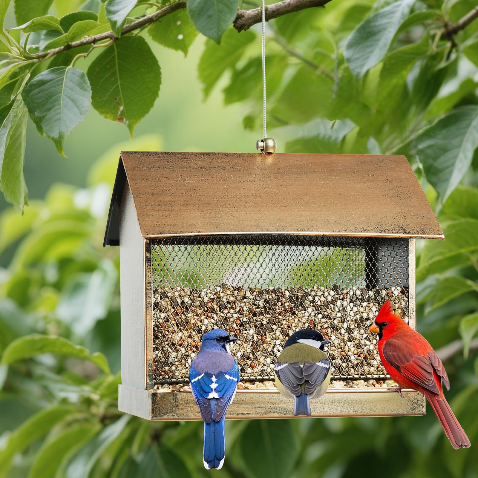 Samhe Bird Feeder for Outside Hanging, Outdoors Heavy Duty Metal Wild Birdfeeder, 3.5lbs Large Capacity
