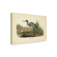 thumbnail image 2 of Trademark Fine Art 'Audubons Blue Heron' Canvas Art by John James Audubon, 2 of 4