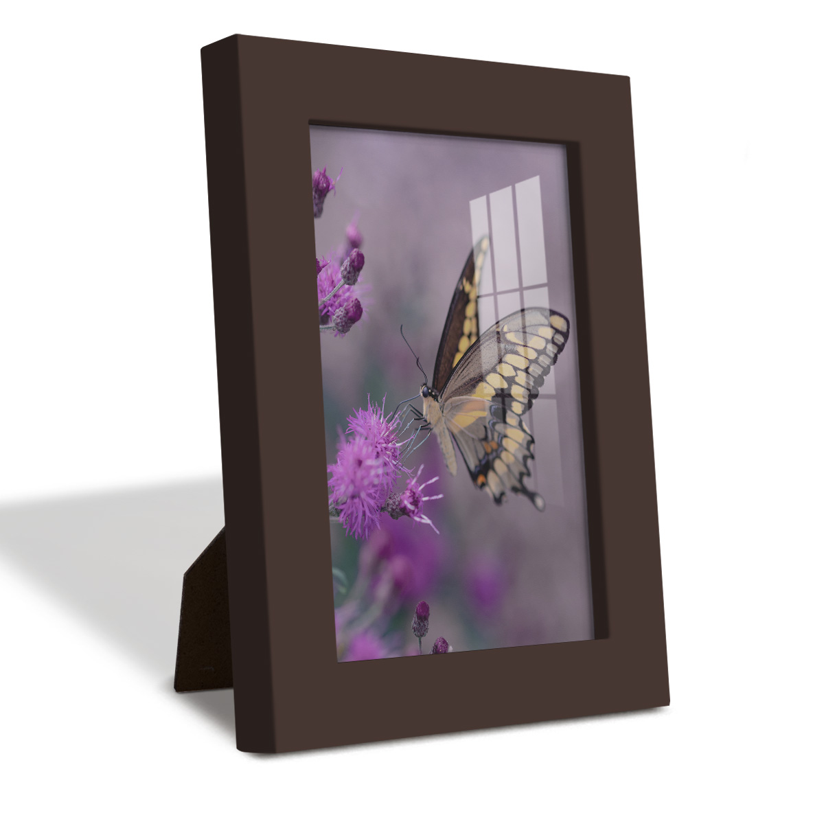 Modern 4 in. x 6 in. Brown Picture Frame (Set of 4)