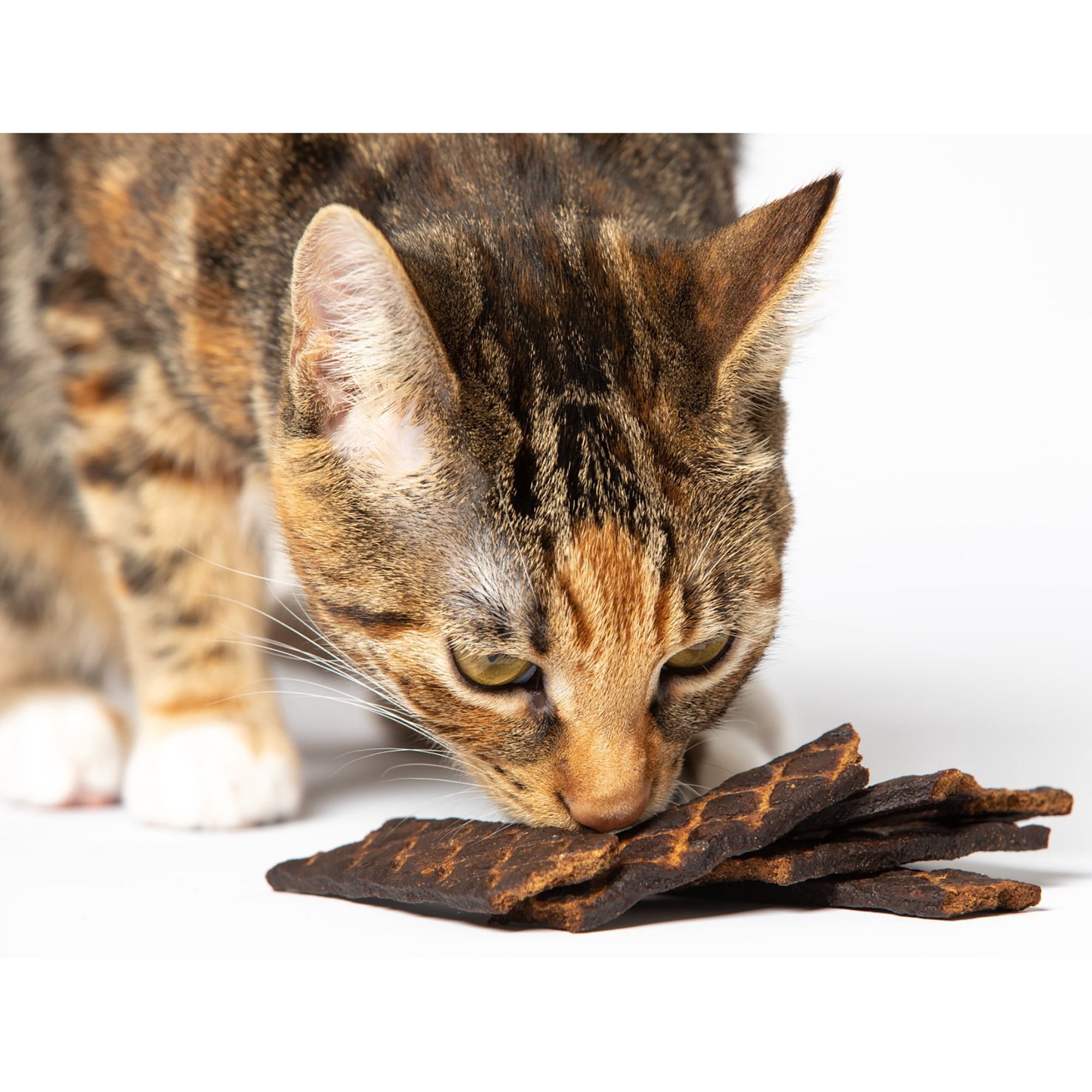 Scout & Zoe's: Carp Fish Spears - 1.5oz Cat Jerky Treats, Smoked Feline Chews, Limited Ingredients, Crunchy Protein, Pet Snack & Reward USA Sourced