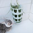 thumbnail image 1 of CBFFDC Hamster Grass Manger Small Grass Feeder Rack Hollow Design Rabbit Hamster Manger Food Bin Bowl Small Pet Cage Supplies, 1 of 6