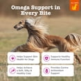 thumbnail image 3 of Zesty Paws Skin & Coat Bites Chicken Flavor Dog Supplement, 250 Count, 3 of 11