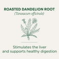 Organic Roasted Root, Supports Kidney Function Healthy Digestion, 16