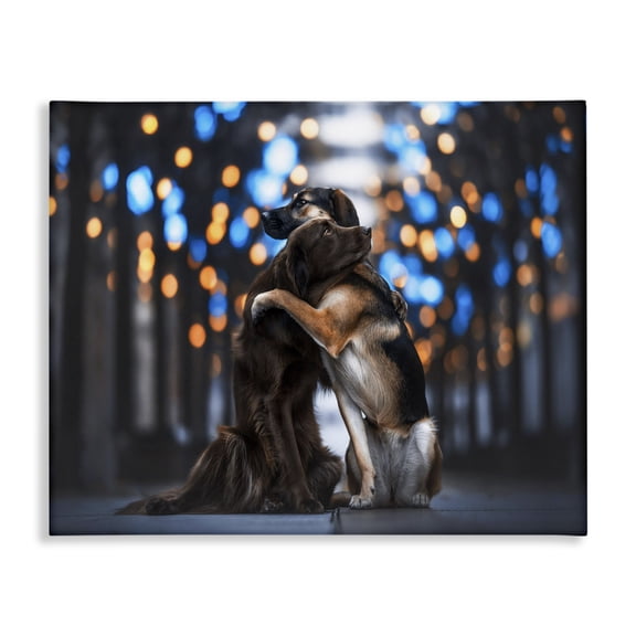 Stupell Industries Eclectic Hugging Dogs with Bokeh Canvas Art, 20 x 16, by Natalie Grosse