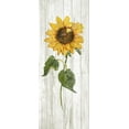 thumbnail image 2 of Swatland, Sally 10x18 Gold Ornate Wood Framed with Double Matting Museum Art Print Titled - Sunflower in Autumn II, 2 of 4