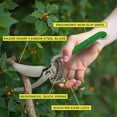 thumbnail image 3 of Miracle-Gro 8 in. Bypass Pruning Shears with Belt Pouch – 1/2 in. Cutting Capacity with Carbon Steel Blade, 3 of 6