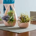 thumbnail image 3 of Arcadia Garden Products Basket Air Planter, Pastel Coral, 3 of 3