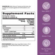Centrum Prenatal Vitamin Gummies for Morning Sickness Relief, Citrus Ginger Flavor, 60 Count (2 PACK)