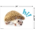 thumbnail image 2 of Trends International Hedgehog - Hi Poster, 2 of 4