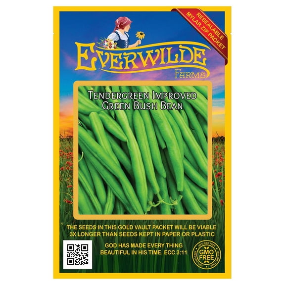 Everwilde Farms 100 Green Bush Bean Plant Seeds, Open Pollinated Heirloom