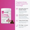 thumbnail image 6 of Cranberry Extract Plus, Bladder & Urinary Tract Support Soft Chews for Dogs (60 Chews), 6 of 9