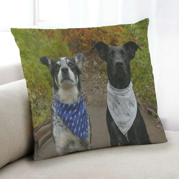 Ahgly Company Dogs Dogs Indoor Throw Pillow, 18 inch by 18 inch