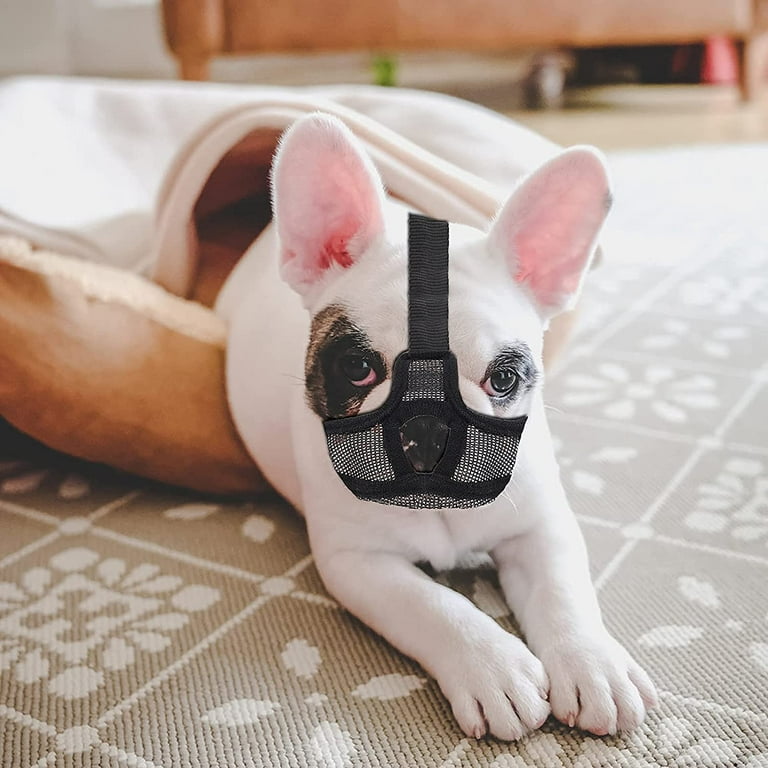 Adjustable Dog Muzzle for Short Snout, Breathable Mesh, Anti