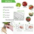 thumbnail image 5 of VIVOSUN Hydroponic Grow Kit, 3 Layers 90 Plant Sites 10 PVC Pipes , Water Pump, Pump Timer, Nest Basket and Sponge, 5 of 7