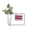 thumbnail image 1 of Perfil de la bandera de los Estados Unidos en Hawái Marco De Metal Florero De Cerámica Decoración, 1 of 4