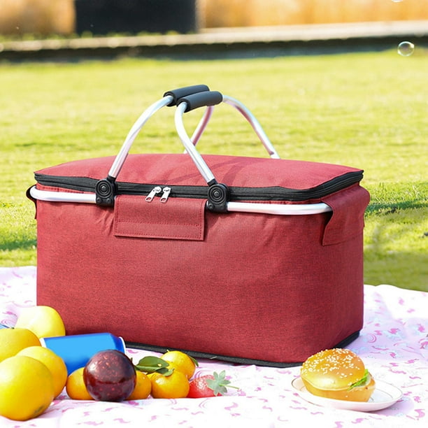 Insulated best sale picnic bag