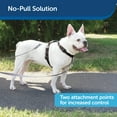 thumbnail image 5 of PetSafe 3 in 1 Dog Harness with Two Point Control Leash, Small, Black, 5 of 7