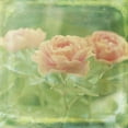thumbnail image 3 of Jorgensen, Jennifer 12x12 Black Modern Framed Museum Art Print Titled - Dream in Pink X, 3 of 5