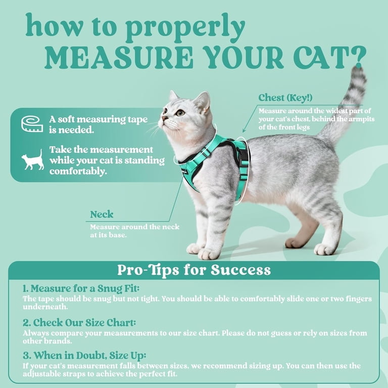 Rabbitgoo Cat Harness and Leash, Reflective Green photo 2