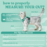 Rabbitgoo Cat Harness and Leash for Walking, Escape Proof Soft Adjustable Vest Harnesses for Cats, Easy Control Breathable Reflective Strips Jacket,Green