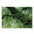 thumbnail image 1 of Rainforest Cutting Board, Idyllic Atmosphere in Tropical Jungle on Springtime Natural Relaxation Theme, Decorative Tempered Glass Cutting and Serving Board, Small Size, Green Brown, by Ambesonne, 1 of 1