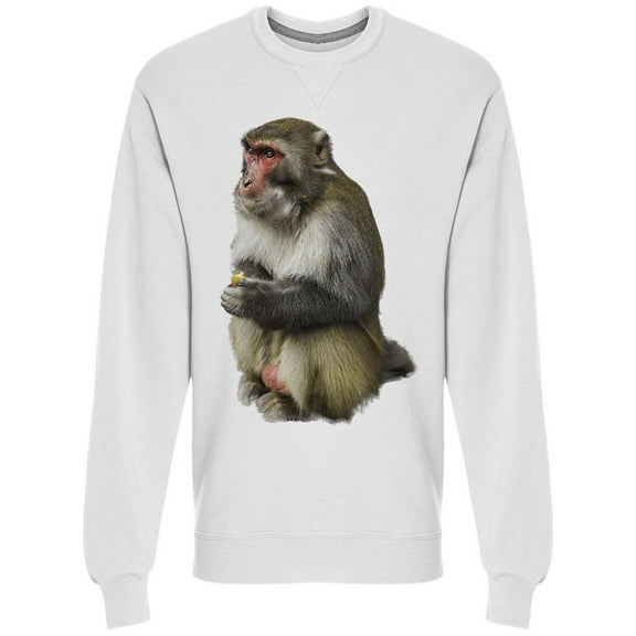 Portrait Of Coiled Monkey  Sweatshirt Men -Image by Shutterstock, Male Large