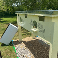 thumbnail image 3 of 10 Pcs Boîte à Écrou de Ruche Porte d'Entrée, Plateau d'Entrée (Diamètre : 12.5 cm) - Équipement d'Apiculture Outils d'Apiculture, 3 of 5