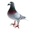 thumbnail image 2 of DOLITY Artificial Foam Pigeons Simulation Foam Pigeon Model Miniature Artificial Pigeon 1pc A, 2 of 9