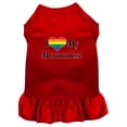 thumbnail image 1 of I Heart My Mommies Screen Print Dog Dress Red Xxl, 1 of 1