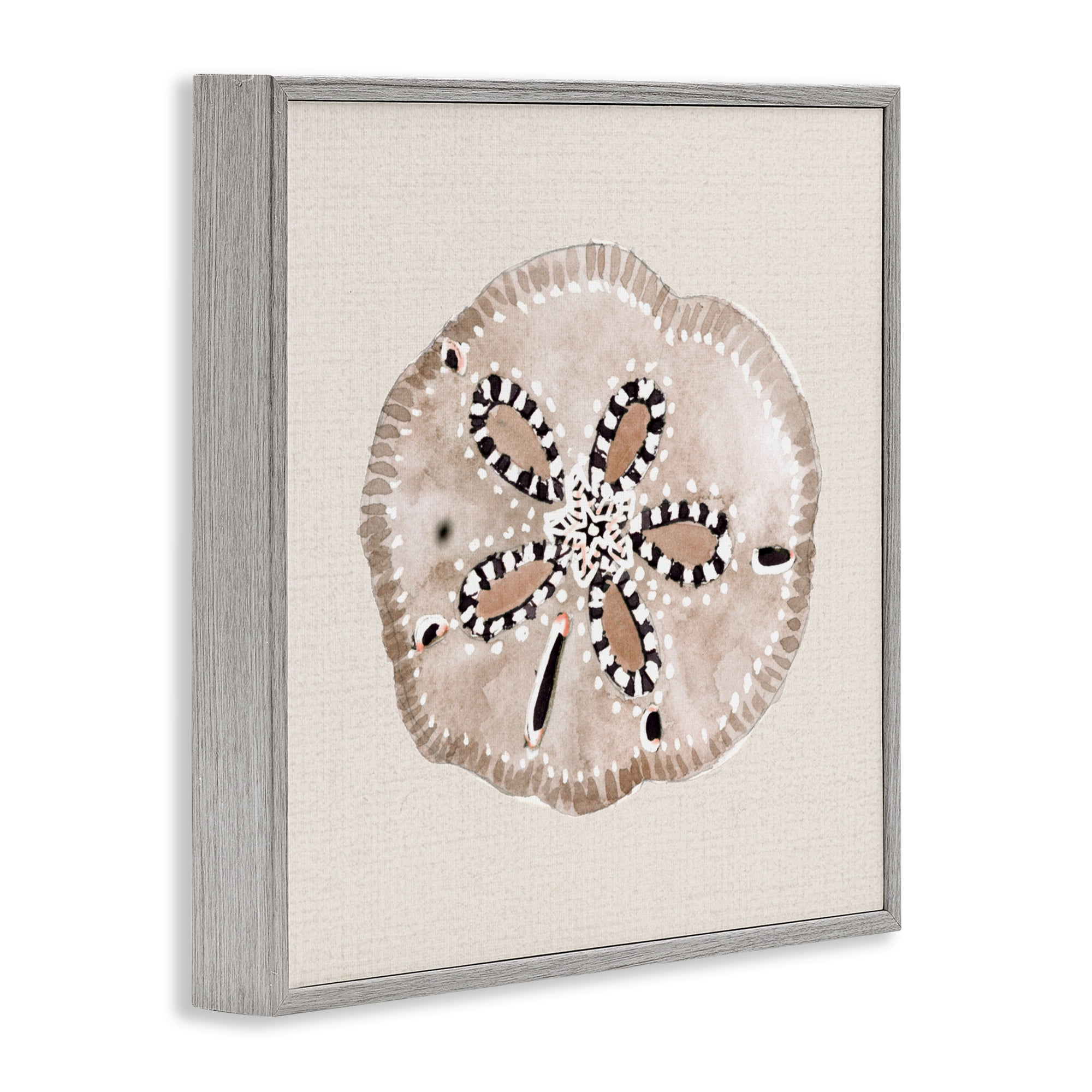 Stupell Industries Taupe & Beige Sand Dollar Gray Framed Giclee Art, design by Lanie Loreth
