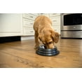 thumbnail image 2 of Iconic Pet Color Splash Stripe Non-Skid Pet Bowl, 64 Oz, Black, 2 of 9