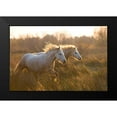 thumbnail image 2 of Jimmyz 14x11 Black Modern Framed Museum Art Print Titled - Two Horses Galloping, 2 of 5