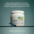 thumbnail image 4 of THORNE Creatine - Micronized Creatine Monohydrate Powder - Support for Muscles & Cognitive Function* - For Women & Men - Unflavored - NSF Certified for Sport - 5 g per Serving - 90 Servings, 4 of 9