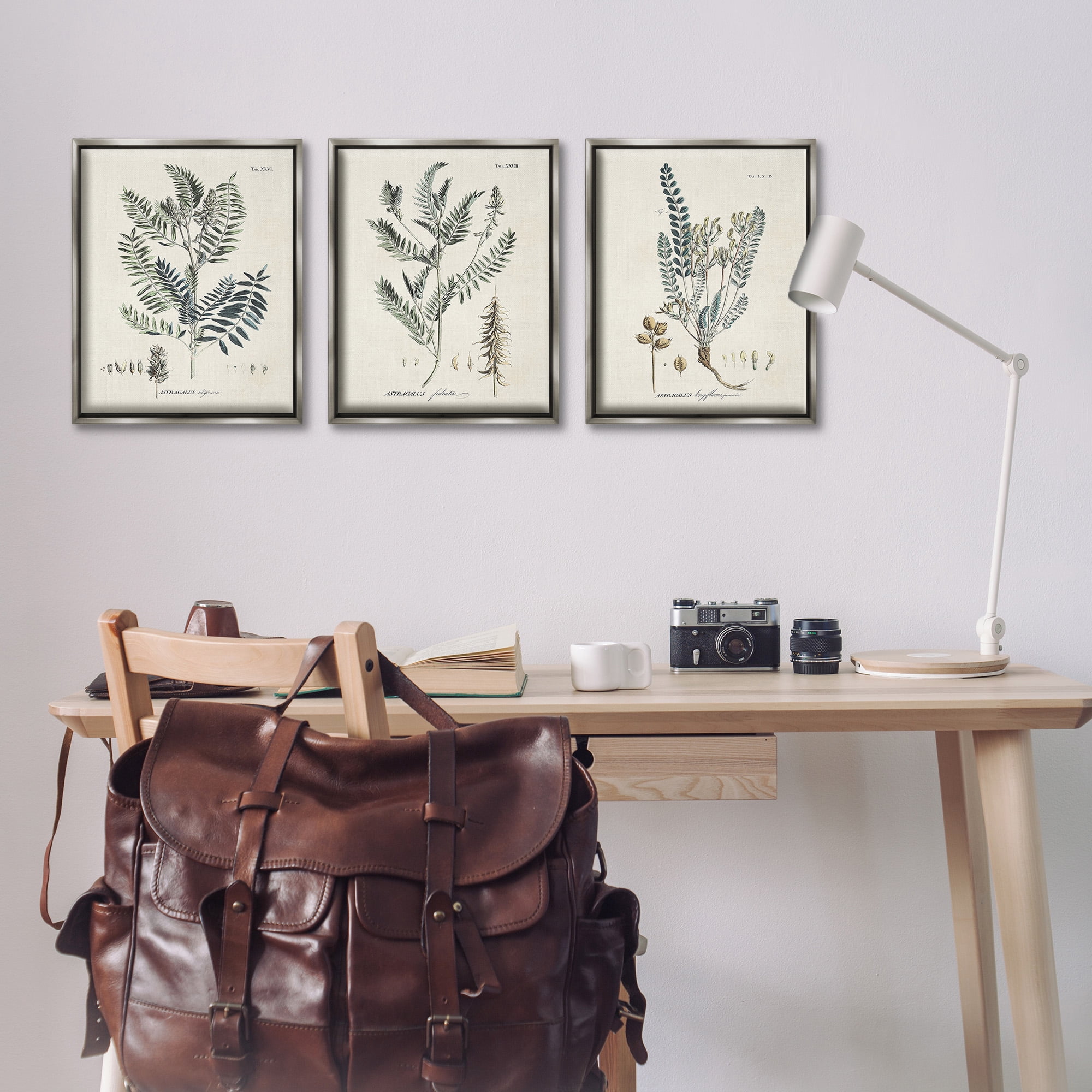 Stupell Industries Woodland Plant Studies Botanical & Floral Painting Gray Floater Framed Canvas Art Print Wall Art, 17 x 21, Set of 3