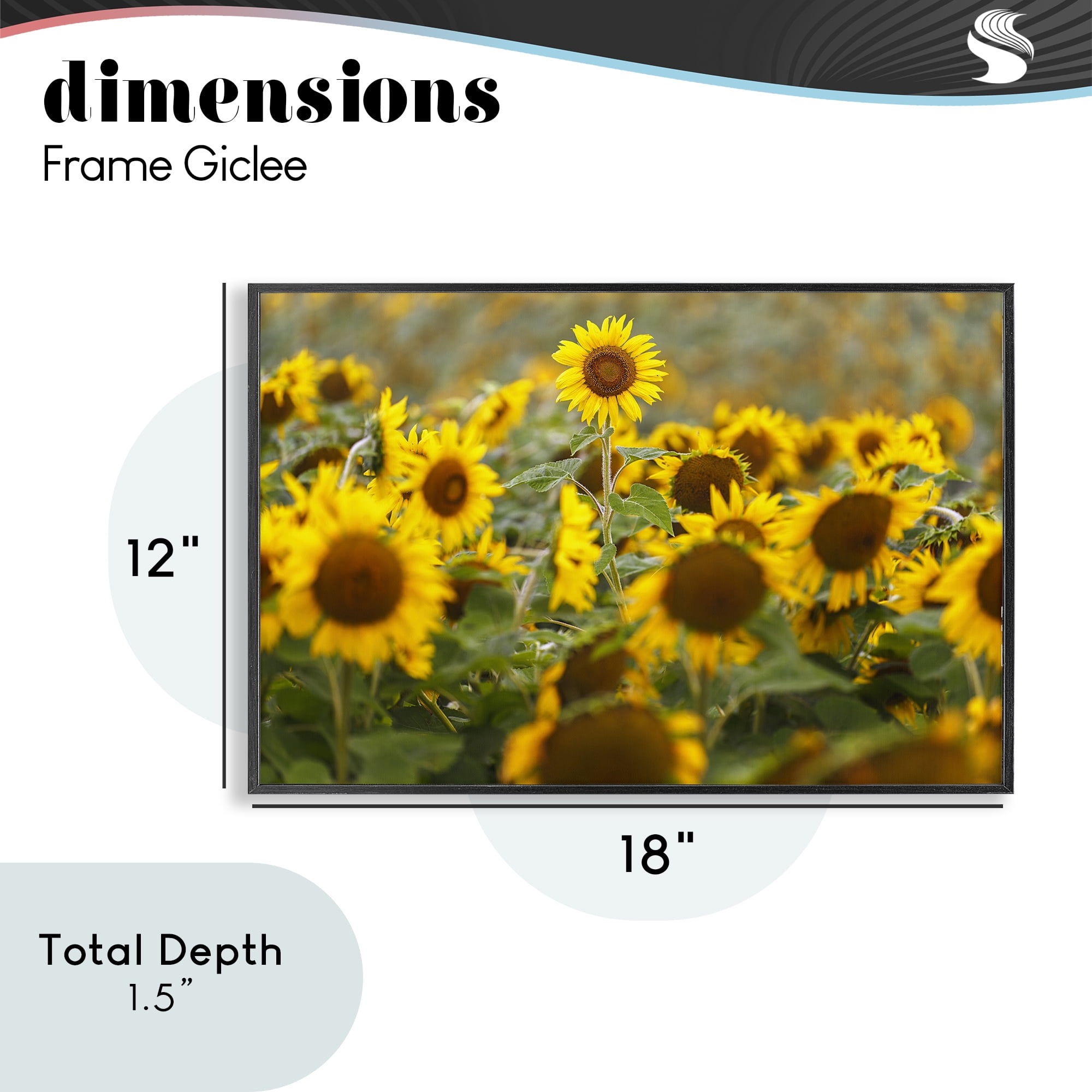 Central Sunflower in Meadow Black Framed Giclee Art, design by Andy Crawford