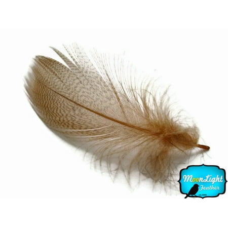 1 Dozen - Tan Mallard Duck Flank Feathers