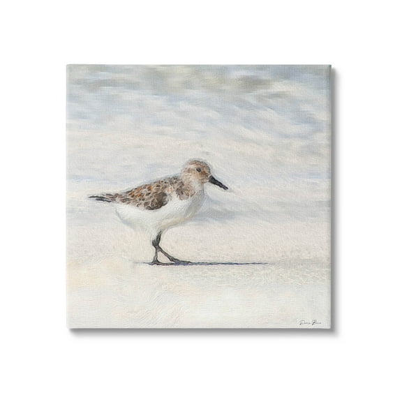 Stupell Industries Sandpiper Bird Stepping Beach Sand Graphic Art Gallery Wrapped Canvas Print Wall Art, Design by Denise Brown