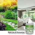 thumbnail image 3 of Harris 30% Vinegar 128 Fl. Oz. Gallon 4-Pack Plus Free Sprayer, 3 of 8