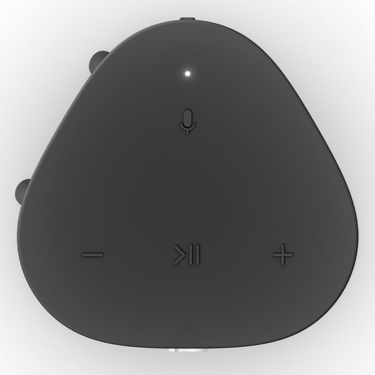 Sonos Roam - Smart speaker - for portable use - Wi-Fi, App-controlled -  2-way - shadow black 