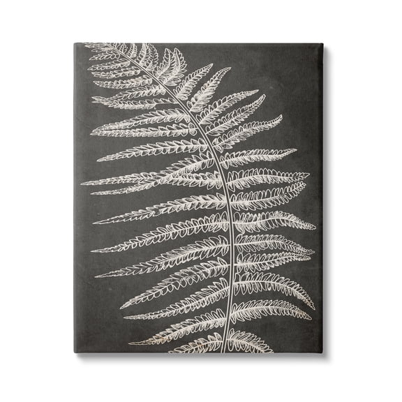 Stupell Industries Fern Leaf on Grey Botanical & Floral Painting Gallery Wrapped Canvas Print Wall Art, 36 x 48