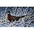 thumbnail image 2 of Goebel, Wilhelm 24x16 Gold Ornate Wood Framed with Double Matting Museum Art Print Titled - Fresh Snow - Ringneck Pheasant, 2 of 4