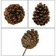 thumbnail image 2 of NOGIS 10 Pcs Natural Pine Cone Picks Christmas Pinecone Sprays Medium Pinecones Picks with Wired Stems 7.8" Tall for Xmas Tree Holiday Seasonal Wreath Floral Winter Rustic Wedding Decor, 2 of 7