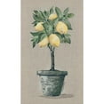 thumbnail image 3 of Norkus, Julie 10x14 Black Modern Framed Museum Art Print Titled - Lemon Tree, 3 of 5