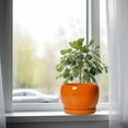 thumbnail image 4 of Ordivic 8 inch Glossy Orange Ceramic Planter with Drainage Hole & Saucer,Medium Plant Pot for Snake Plant & Pothos, Modern Shelf Decor Gift, 4 of 5