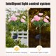 thumbnail image 5 of Luces solares para jardín con forma de camelia, 7 LED blanco cálido, estacas metálicas impermeables con energía solar | Iluminación para caminos, patios y terrazas | Decoración romántica para, 5 of 6