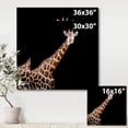 thumbnail image 4 of Designart ' Portrait of A Giraffe On Black Background III ' Farmhouse Canvas Wall Art Print, 4 of 4